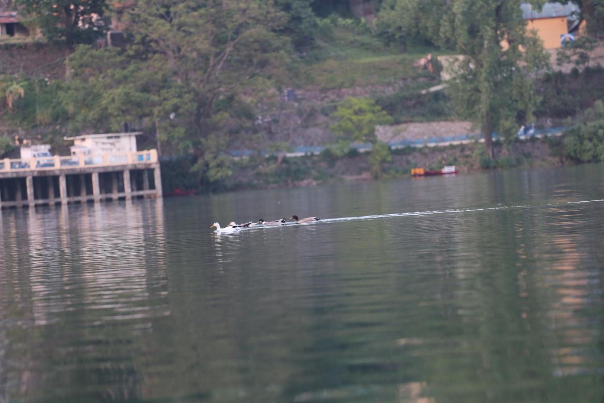 Royal Rosette Lake View Bhimtal Nainital Eksteriør billede