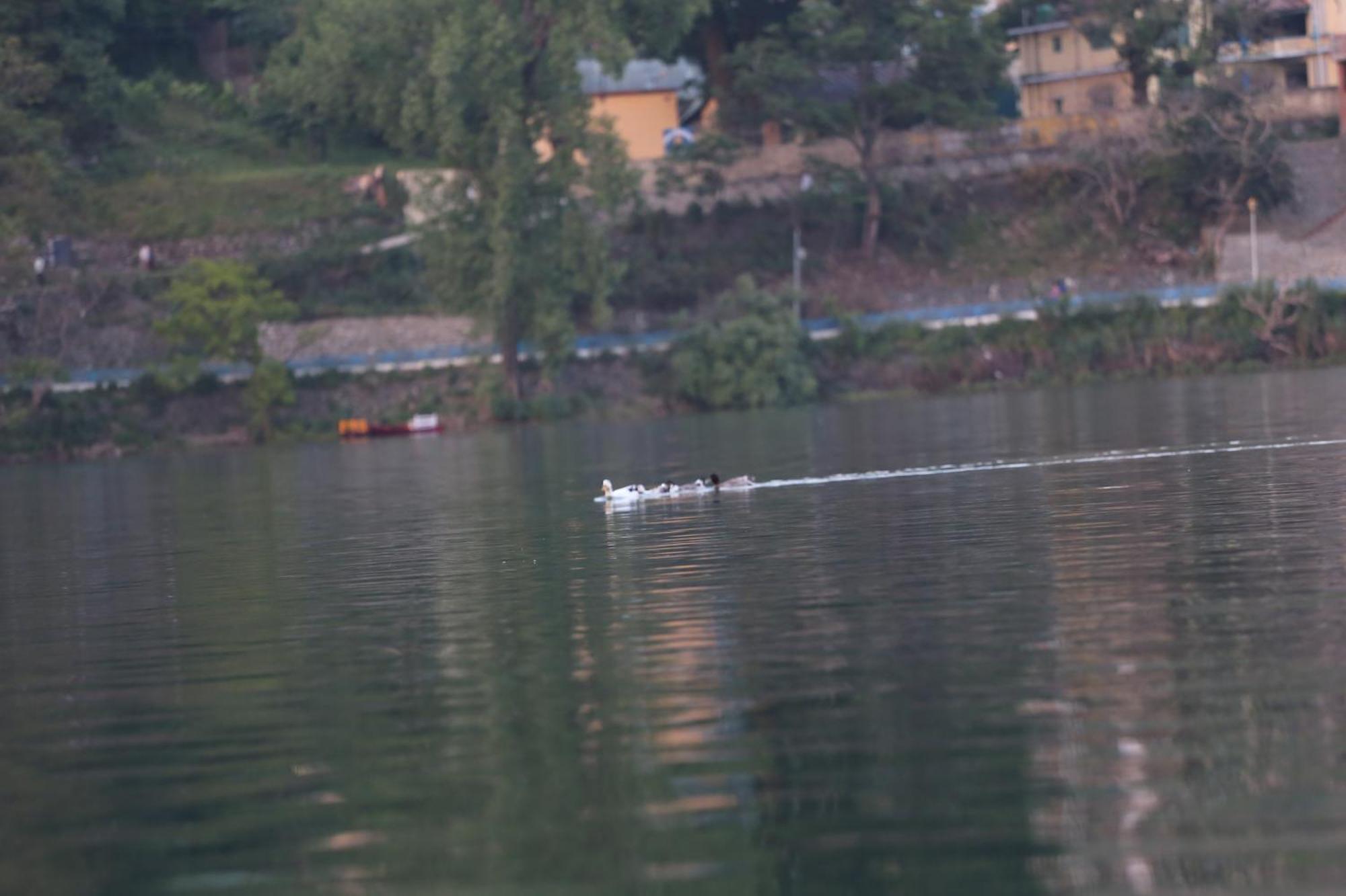 Royal Rosette Lake View Bhimtal Nainital Eksteriør billede